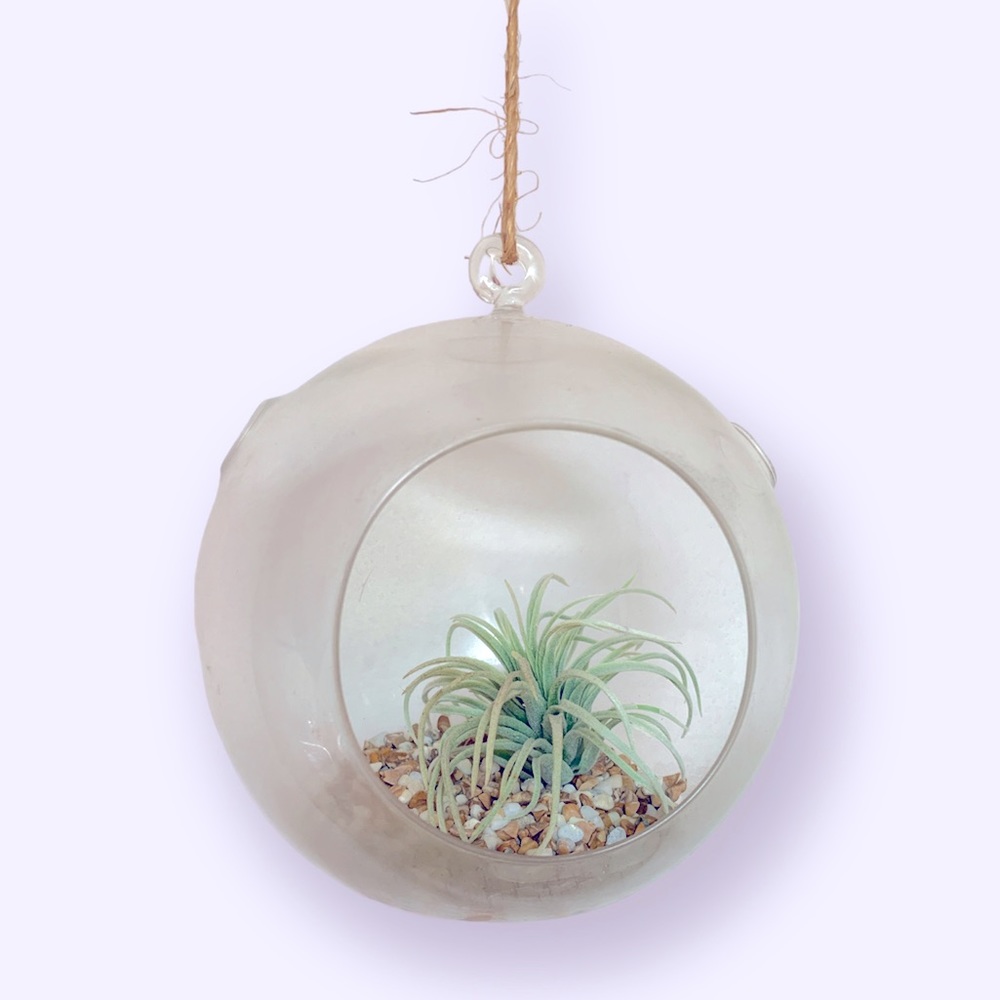 Large Glass Orb Plant Atrium